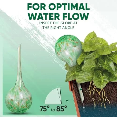 Mission Gallery Plant Watering Globes Set of 4 Small | 100ml Capacity for 5-Day Irrigation thumbnail 7