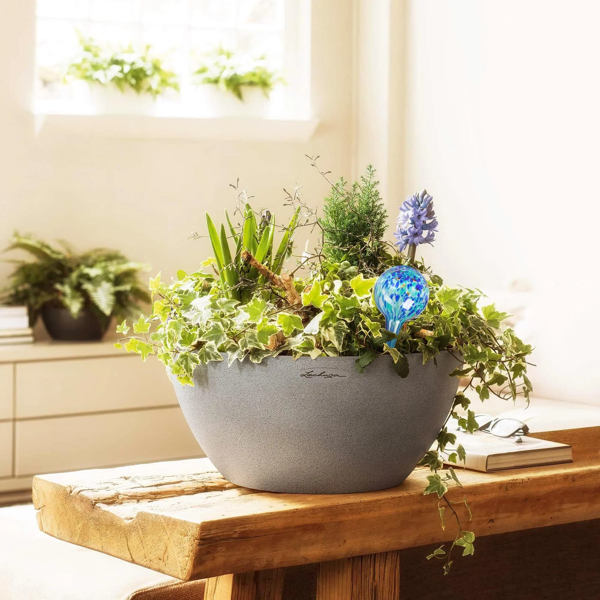 Mission Gallery Plant Watering Globes Set of 4 Small | 100ml Capacity for 5-Day Irrigation - view 2