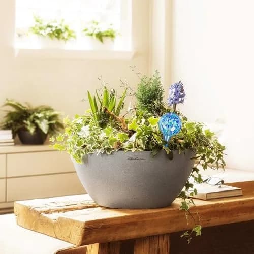 Mission Gallery Plant Watering Globes Set of 4 Small | 100ml Capacity for 5-Day Irrigation thumbnail 2