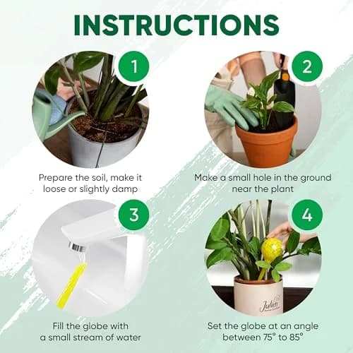 Mission Gallery Glass Plant Watering Globes Set of 4, Large 200ml | Automatic Irrigation for Indoor & Outdoor Plants thumbnail 6
