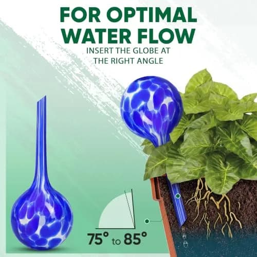 Mission Gallery Glass Plant Watering Globes Set of 4, Large 200ml | Automatic Irrigation for Indoor & Outdoor Plants thumbnail 7