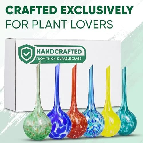 Mission Gallery Large Glass Watering Globes Set of 6, 200ml (6.76 Fl Oz) | Vacation Plant Watering thumbnail 9