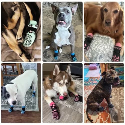 KOOLTAIL Dog Socks Shoes for Hot Pavement XL | Anti Slip Paw Protector for Senior Dogs thumbnail 7