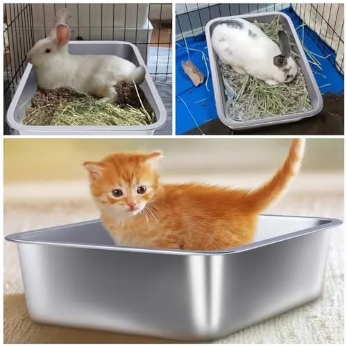 Holintan Stainless Steel Litter Box for Kitten, Small | Easy Entry, Odor-Free, Durable Metal thumbnail 6