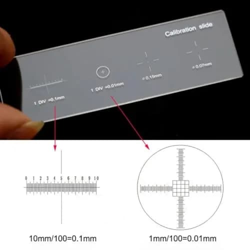 WintopScope Microscope Stage Micrometer Slide 25mm x 75mm | Precise Optical Glass Calibration Tool thumbnail 4