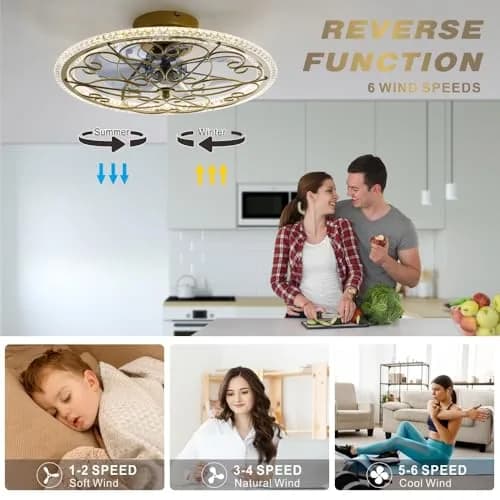 lifeholder Low Profile Ceiling Fan with Lights Remote 20" | Dimmable Vintage Gold Ceiling Fan thumbnail 4