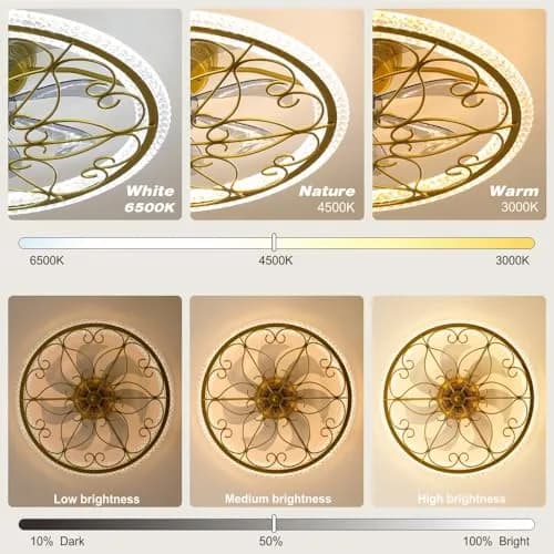 lifeholder Low Profile Ceiling Fan with Lights Remote 20" | Dimmable Vintage Gold Ceiling Fan thumbnail 3