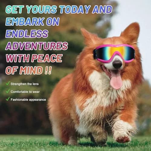NVTED Pink Dog Sunglasses Goggles for Medium Large Dogs | UV Wind Protection thumbnail 6