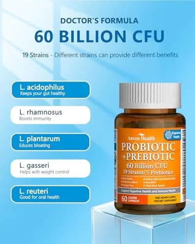 Anven Health Probiotics for Women Men Prebiotics 60 Capsules | Digestive & Gut Support in USA thumbnail 2