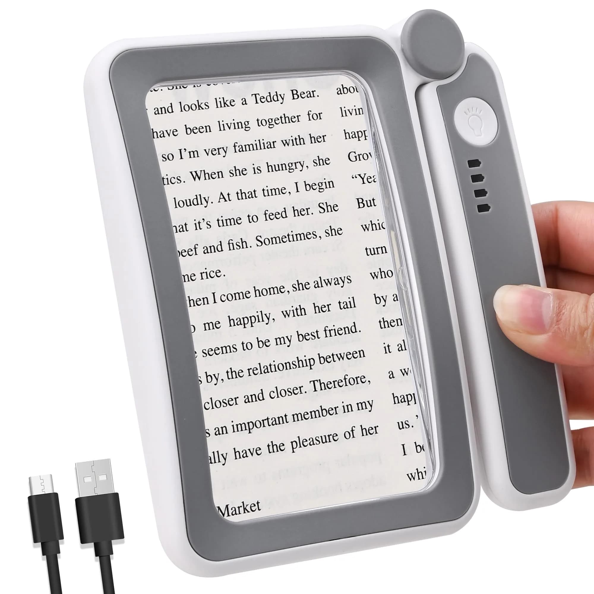 TECHSHARE 4X Rechargeable Magnifying Glass with Light, 108x63mm (4.2x2.4 in) | 4X Magnification with 10 LEDs — Clear With Gray Frame