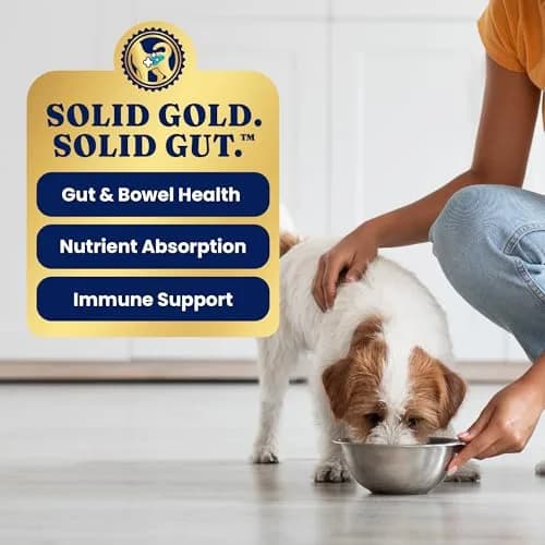Solid Gold Wet Dog Food Topper, Beef & Veggies, 6ct | Supports Mobility & Gut Health thumbnail 6