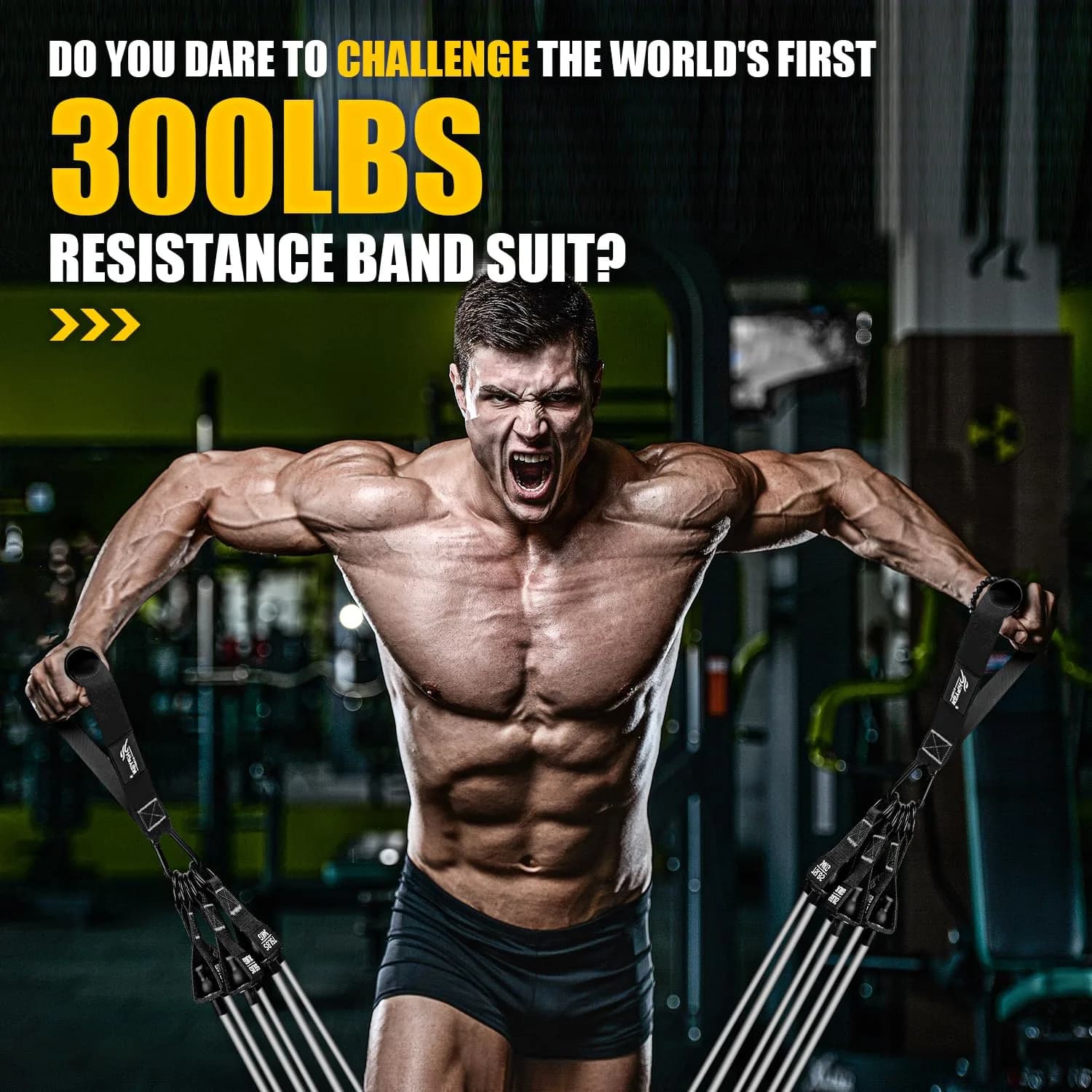 HPYGN 300LBS Black Resistance Bands Set with Handles for Full Body Strength Training - view 3