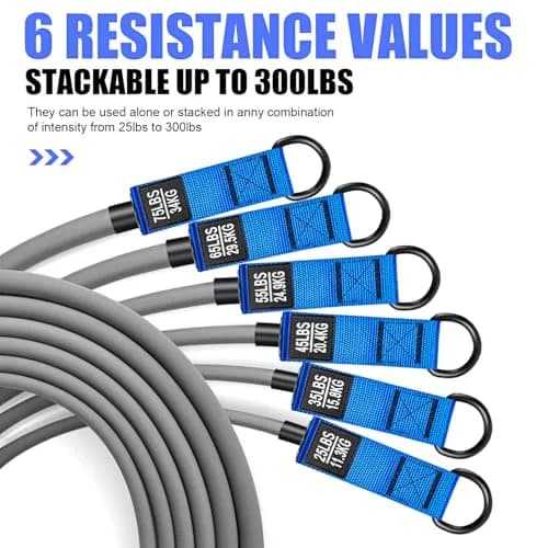 HPYGN 360lbs Resistance Bands Set with Handles, Door Anchor & Ankle Straps | 6 Levels for Full Body Strength thumbnail 2