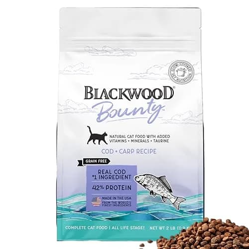 Blackwood Bounty Dry Cat Food, Cod & Carp Recipe, 2 lb | Slow Cooked, High Protein, Grain-Free Nutrition thumbnail 1