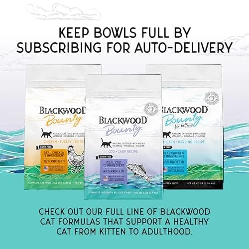 Blackwood Bounty Dry Cat Food, Cod & Carp Recipe, 2 lb | Slow Cooked, High Protein, Grain-Free Nutrition thumbnail 7