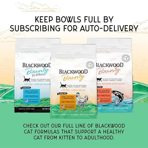 Blackwood Bounty Dry Cat Food Chicken & Turkey Recipe 4.5 lb | High Protein, Grain-Free, Slow Cooked thumbnail 7