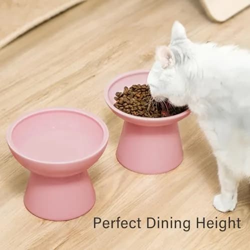 CEEFU 2-Pack Elevated Ceramic Cat Bowls Extra Wide for Food & Water | Whisker-Friendly, Heavy & Stable thumbnail 5
