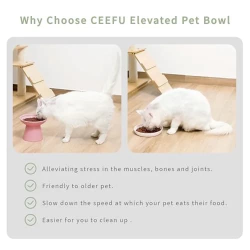 CEEFU 2-Pack Elevated Ceramic Cat Bowls Extra Wide for Food & Water | Whisker-Friendly, Heavy & Stable thumbnail 3