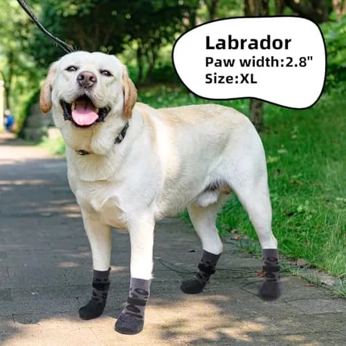 PUPTECK Anti Slip Dogs Shoes for Hot/Cold Pavement | Leopard, M thumbnail 6
