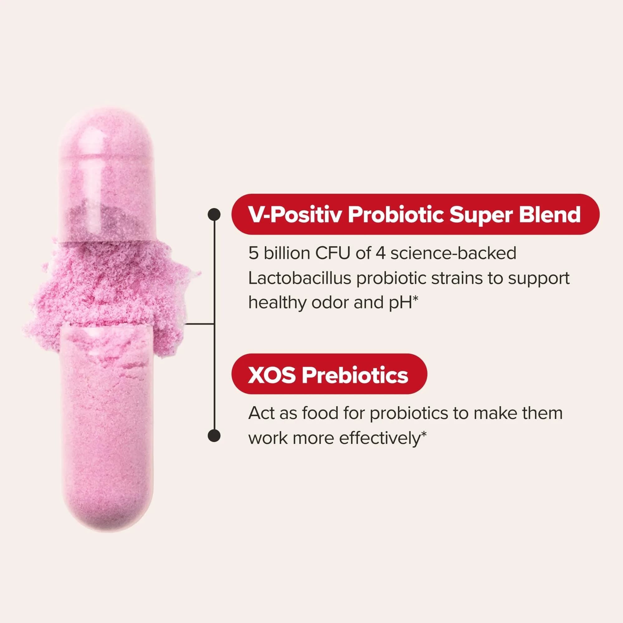 O Positiv URO Vaginal Probiotics with Prebiotics & Lactobacillus for Women - 60 Count (Pack of 1) | Supports Vaginal Health - view 4