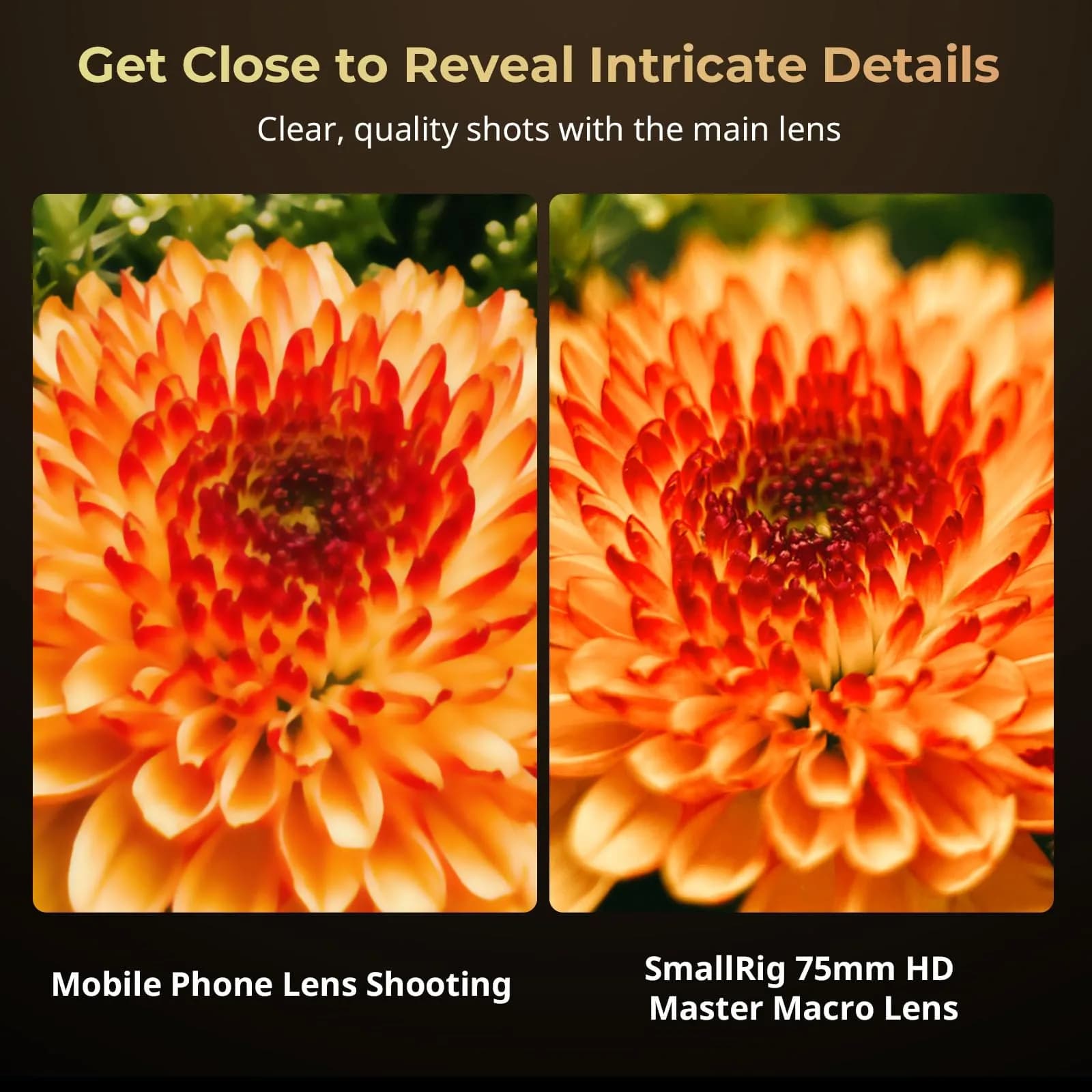 SMALLRIG 75mm HD Master Macro Lens 40mm Focal Length | Captures Intricate Details with Shallow Depth of Field - view 5