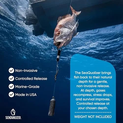 SeaQualizer Fish Descending Device – 3 Setting Release Device for Fishing – Non-Invasive and Reusable Fish Release Tool – NOAA Compliant - Made in USA (50, 100, 150 Feet Release) thumbnail 5