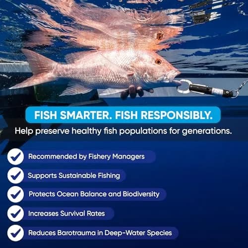 SeaQualizer Fish Descending Device – 3 Setting Release Device for Fishing – Non-Invasive and Reusable Fish Release Tool – NOAA Compliant - Made in USA (50, 100, 150 Feet Release) thumbnail 6