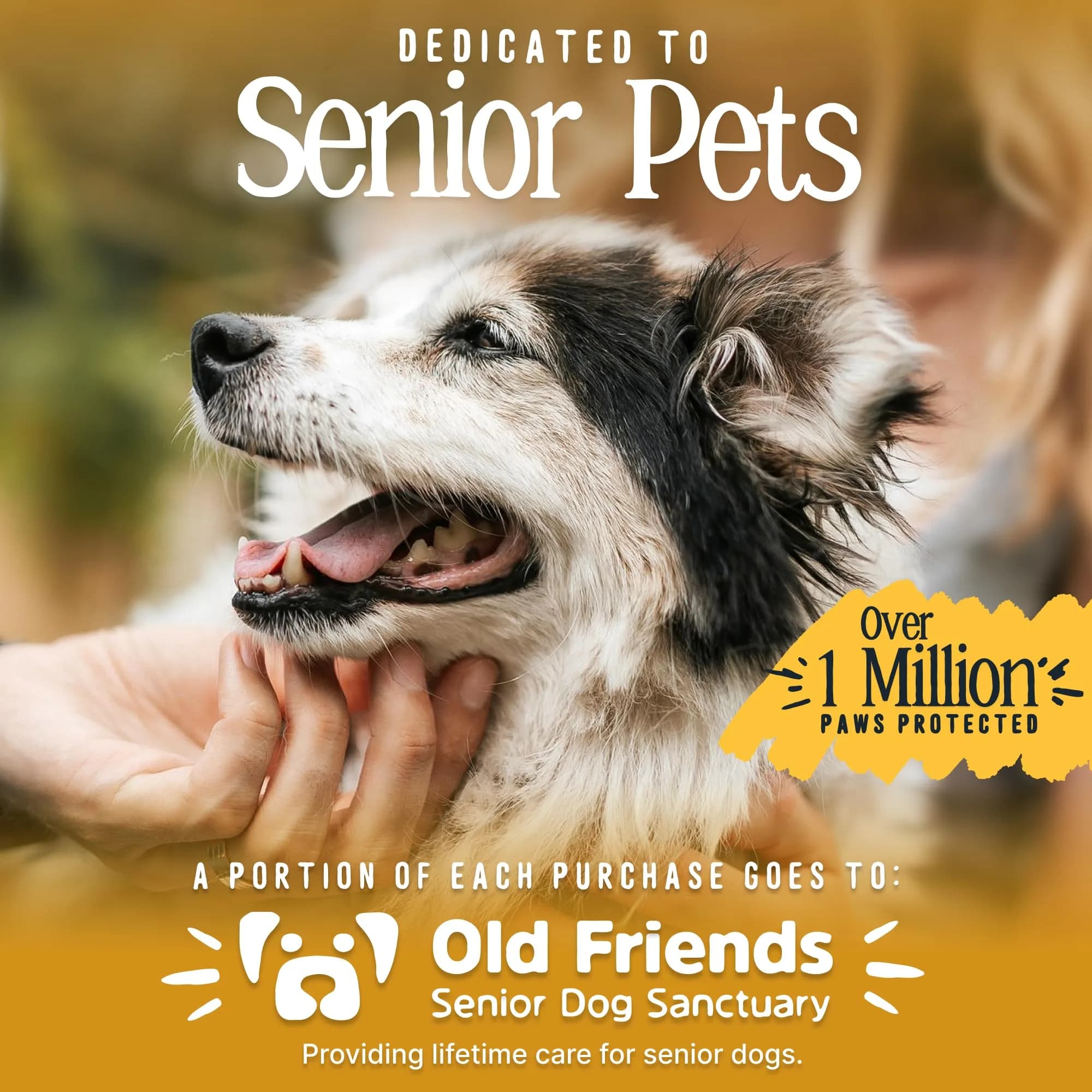 DOK TigerToes XXL Dog Socks (4-Pack, Cool Caramel) | Non-Slip Grip for Hardwood Floors & Senior Dogs - view 7