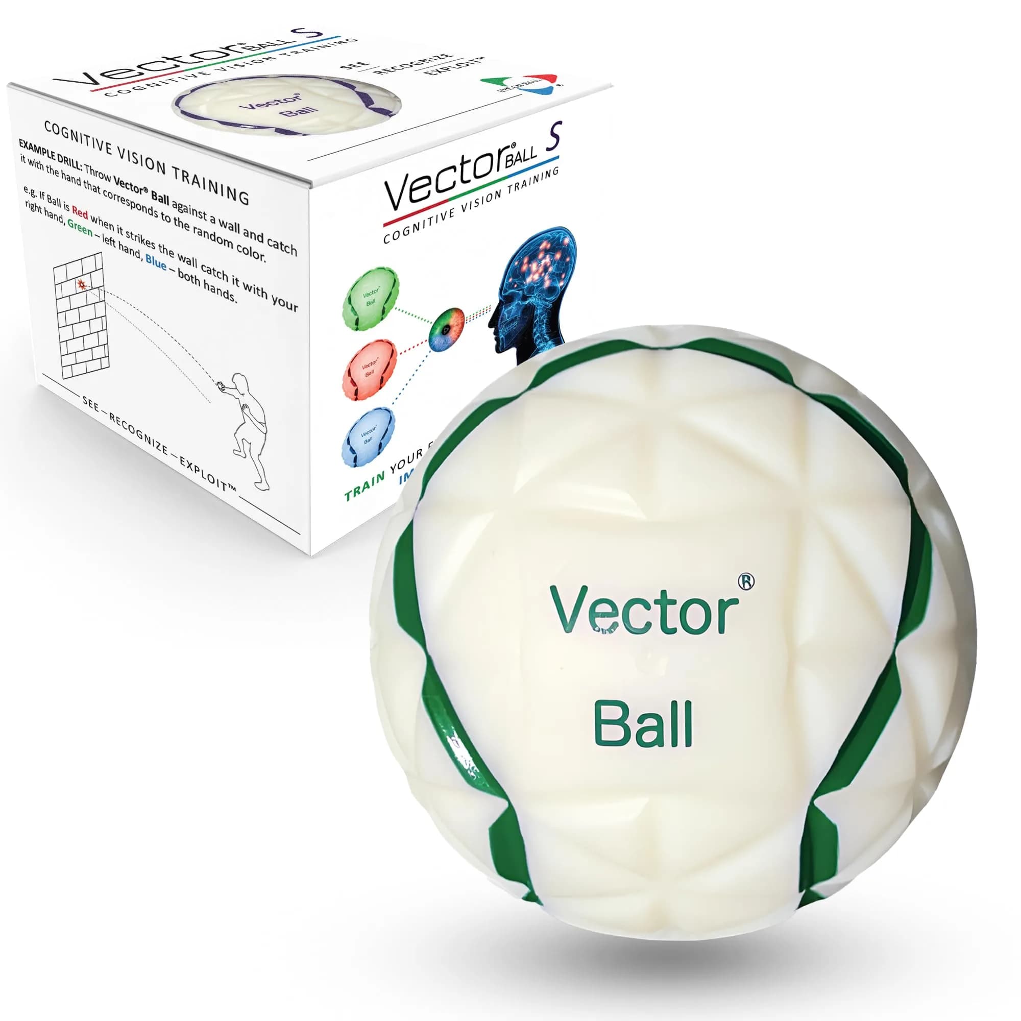 Eye On Ball Vector Ball S Neuro-Visual Reaction Ball 7.6cm (3") | Improves Sports Quickness, Focus, Agility, Speed, Hand Eye Coordination — Green, Red and Blue