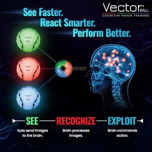 Eye On Ball Vector Ball S Neuro-Visual Reaction Ball 7.6cm (3") | Improves Sports Quickness, Focus, Agility, Speed, Hand Eye Coordination thumbnail 6
