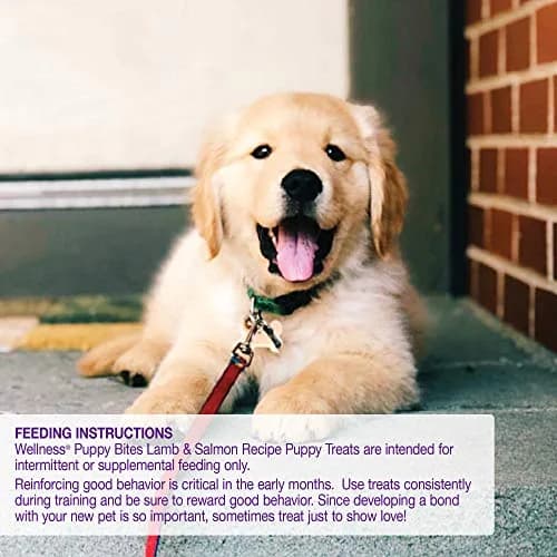 Wellness Soft Puppy Bites Lamb & Salmon Recipe Puppy Treats 16oz (454g) | Grain-Free Training Treats with DHA thumbnail 6