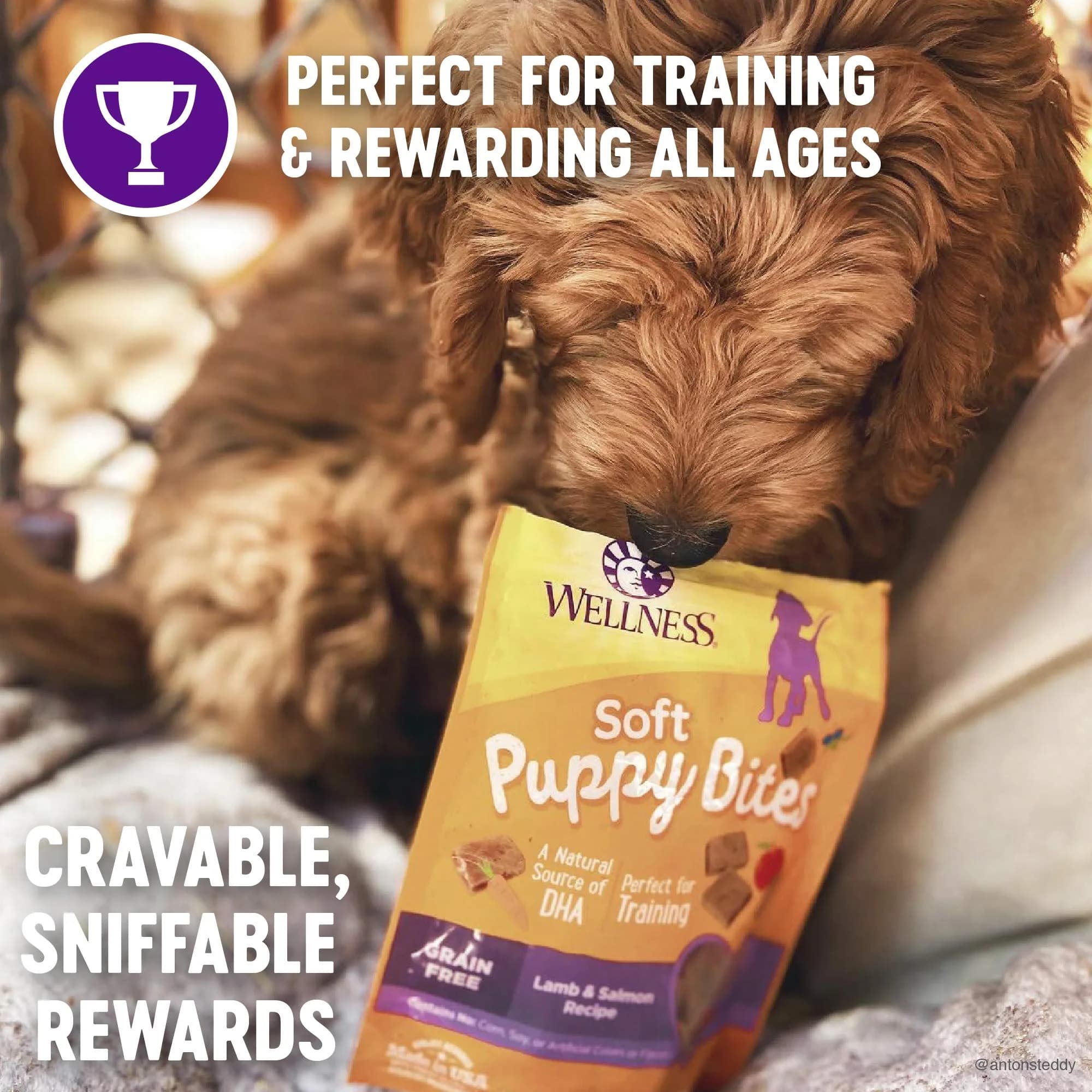 Wellness Soft Puppy Bites Lamb & Salmon Dog Treats, 8 Ounce (Pack of 2) - view 3