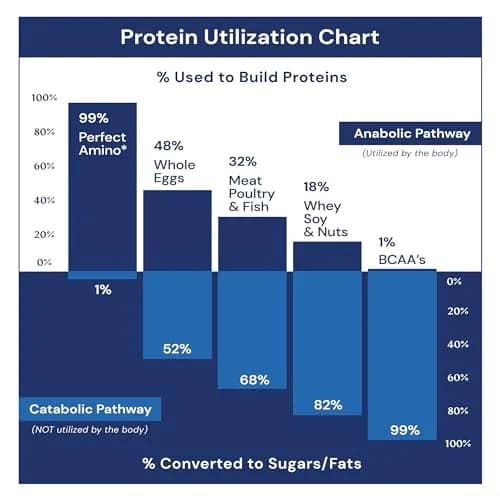 BodyHealth PerfectAmino Electrolytes Powder No Sugar | Hydration & Muscle Recovery for Adults thumbnail 4