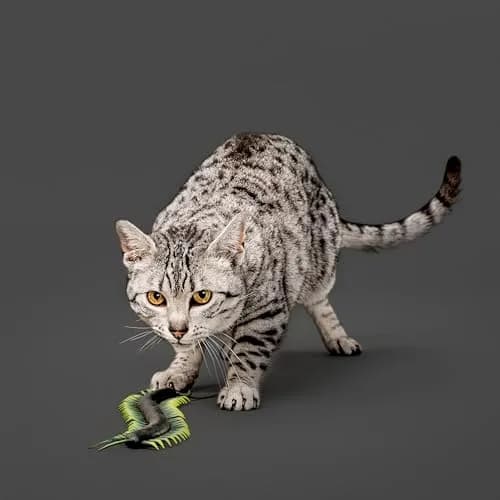 Playology Cat Toys - Catnip Infused Centipede Cat Toy for Chase and Pounce | Stimulates Wild Instincts thumbnail 3