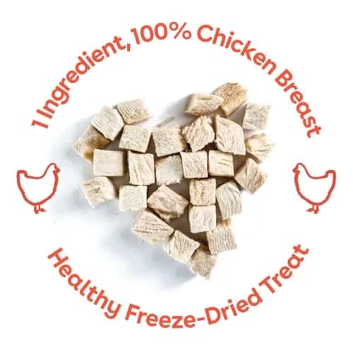Pupford Freeze Dried Chicken Breast Treats for Dogs & Puppies (3 oz) | Healthy, Natural, Single Ingredient Dog Treats thumbnail 4