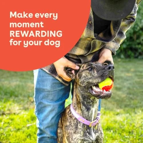 Pupford Freeze Dried Chicken Breast Treats for Dogs & Puppies (3 oz) | Healthy, Natural, Single Ingredient Dog Treats thumbnail 5