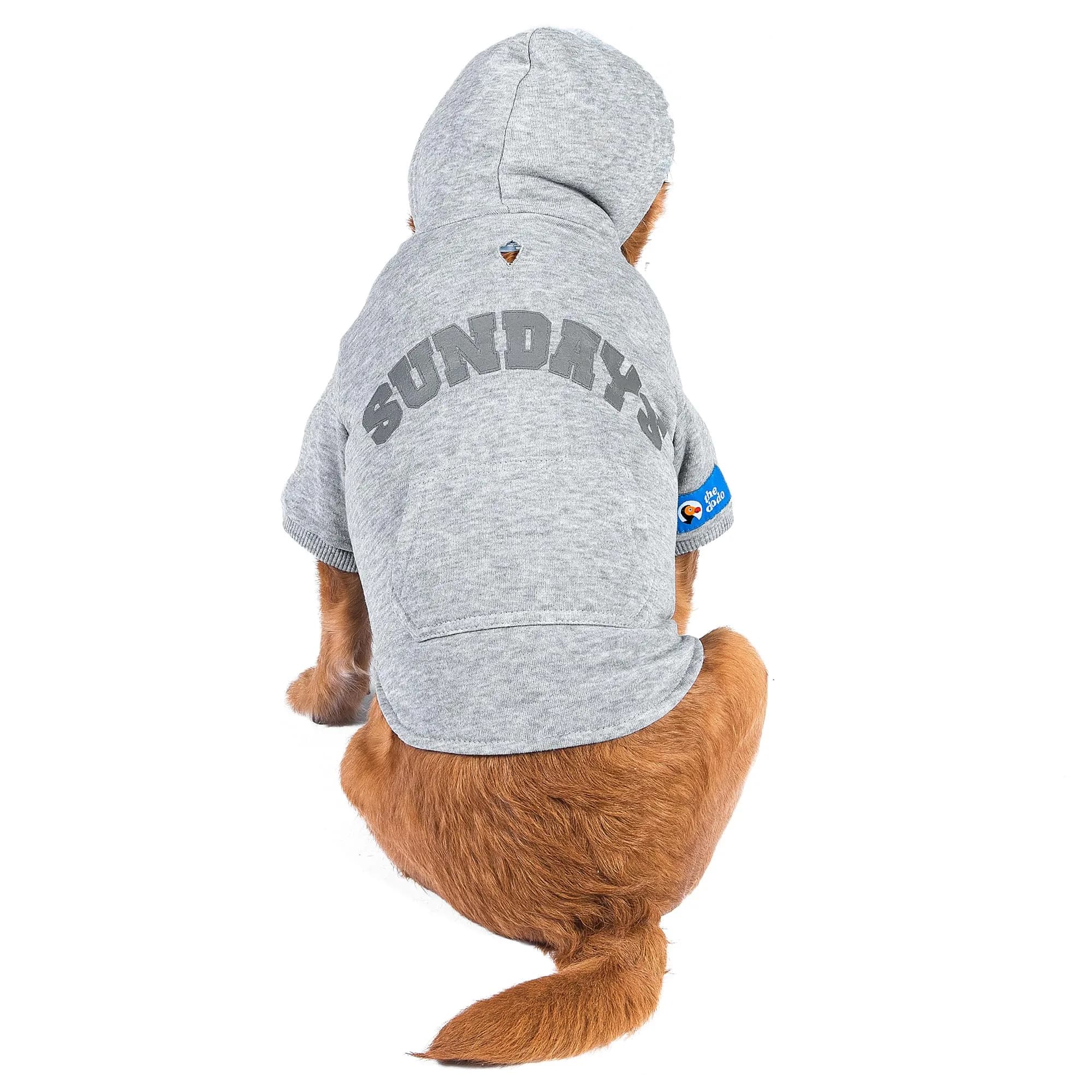 The Dodo Heather Gray ‘Sundays’ Hoodie for Dogs, Size Medium | Cozy, Easy-On Pullover with Leash Hole (110 characters)