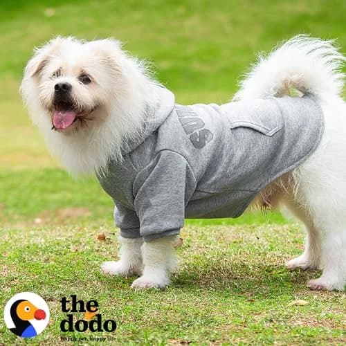 The Dodo Heather Gray ‘Sundays’ Hoodie for Dogs, Size Medium | Cozy, Easy-On Pullover with Leash Hole (110 characters) thumbnail 2