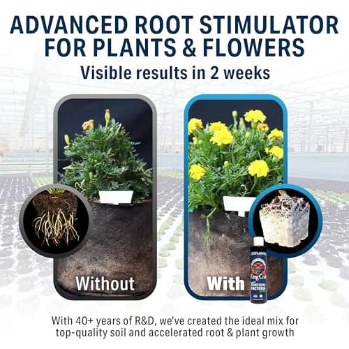 Plant Success King Crab Compost Tea Root Booster 100ml | Organic Soil Conditioner & Microbe Rejuvenator thumbnail 3