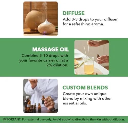 Majestic Pure Tea Tree Essential Oil 3.4 Fl Oz (100ml) | 100% Pure, Natural, Premium Grade thumbnail 2