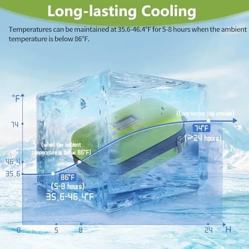 HIMDUZE Insulin Cooler Travel Case with Thermometer & 2 Ice Packs | 21.7cm x 14.4cm x 9.1cm (8.3"x4.7"x3.4") thumbnail 5