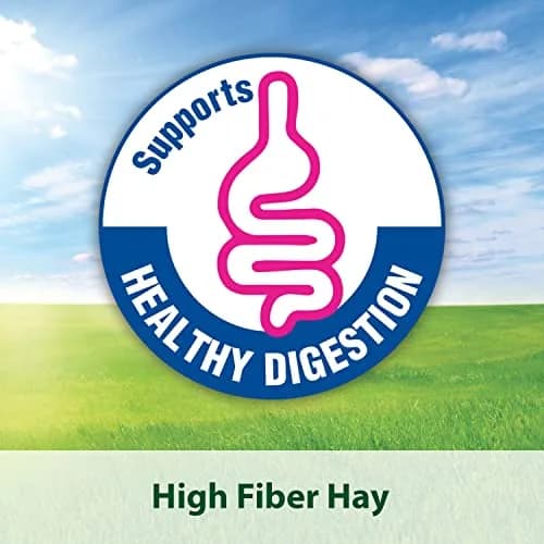 Kaytee Timothy Hay Blend Cubes for Small Animals, 1.81 kg (2 x 16 oz) | High Fiber Digestive Support thumbnail 5