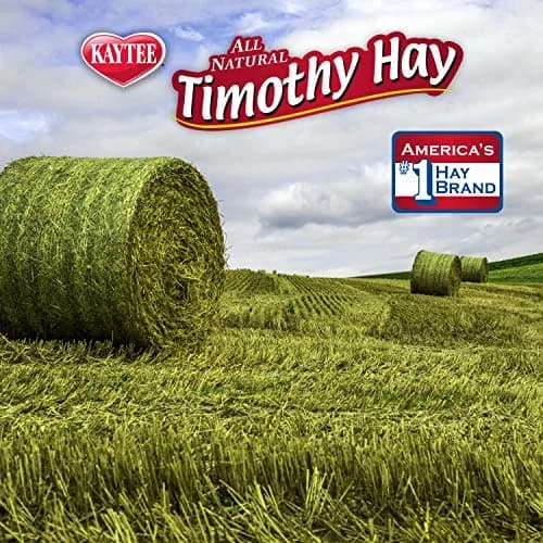 Kaytee Timothy Hay Blend Cubes for Small Animals, 1.81 kg (2 x 16 oz) | High Fiber Digestive Support thumbnail 6