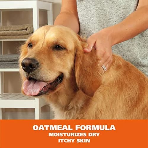 Wahl Waterless Oatmeal & Coconut Lime Verbena Pet Shampoo 420ml (14.2 Fl Oz) | No-Rinse Formula for Dogs, Cats & Horses thumbnail 5