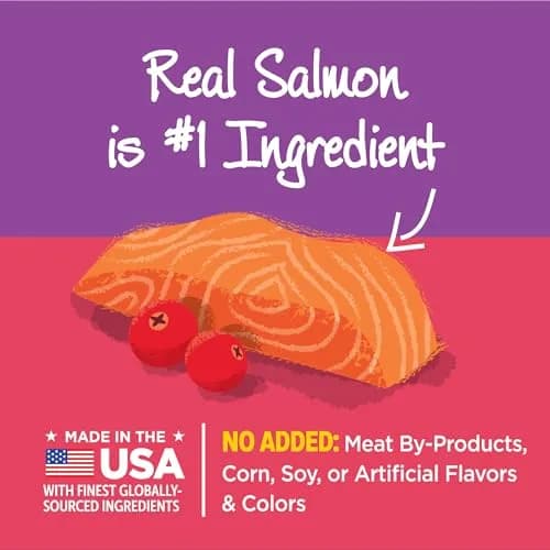 Wellness Kittles Natural Grain Free Cat Treats Salmon & Cranberries 12 oz (342 g) | Crunchy Dental Cat Treats thumbnail 4