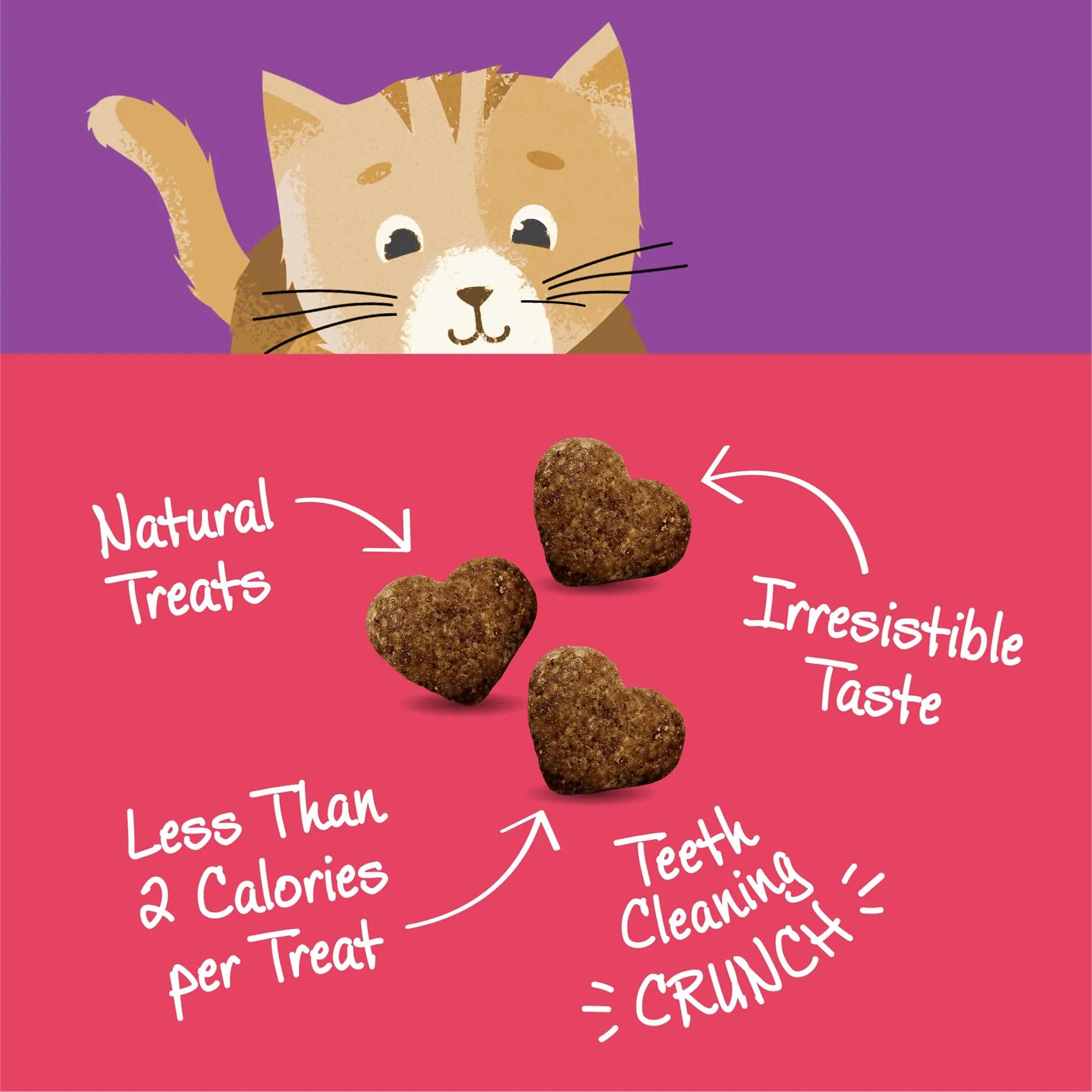 Wellness Kittles Natural Grain Free Cat Treats Salmon & Cranberries 12 oz (342 g) | Crunchy Dental Cat Treats - view 3