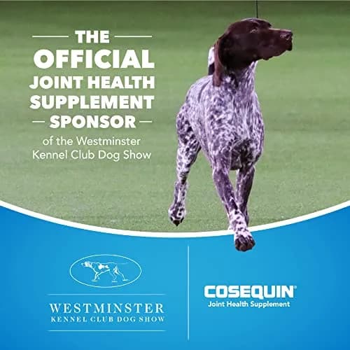 Nutramax Cosequin for Cats Joint Health Supplement Soft Chews, 120 Count (60 Count Pack of 2) | Supports Joint, Skin & Coat Health thumbnail 3
