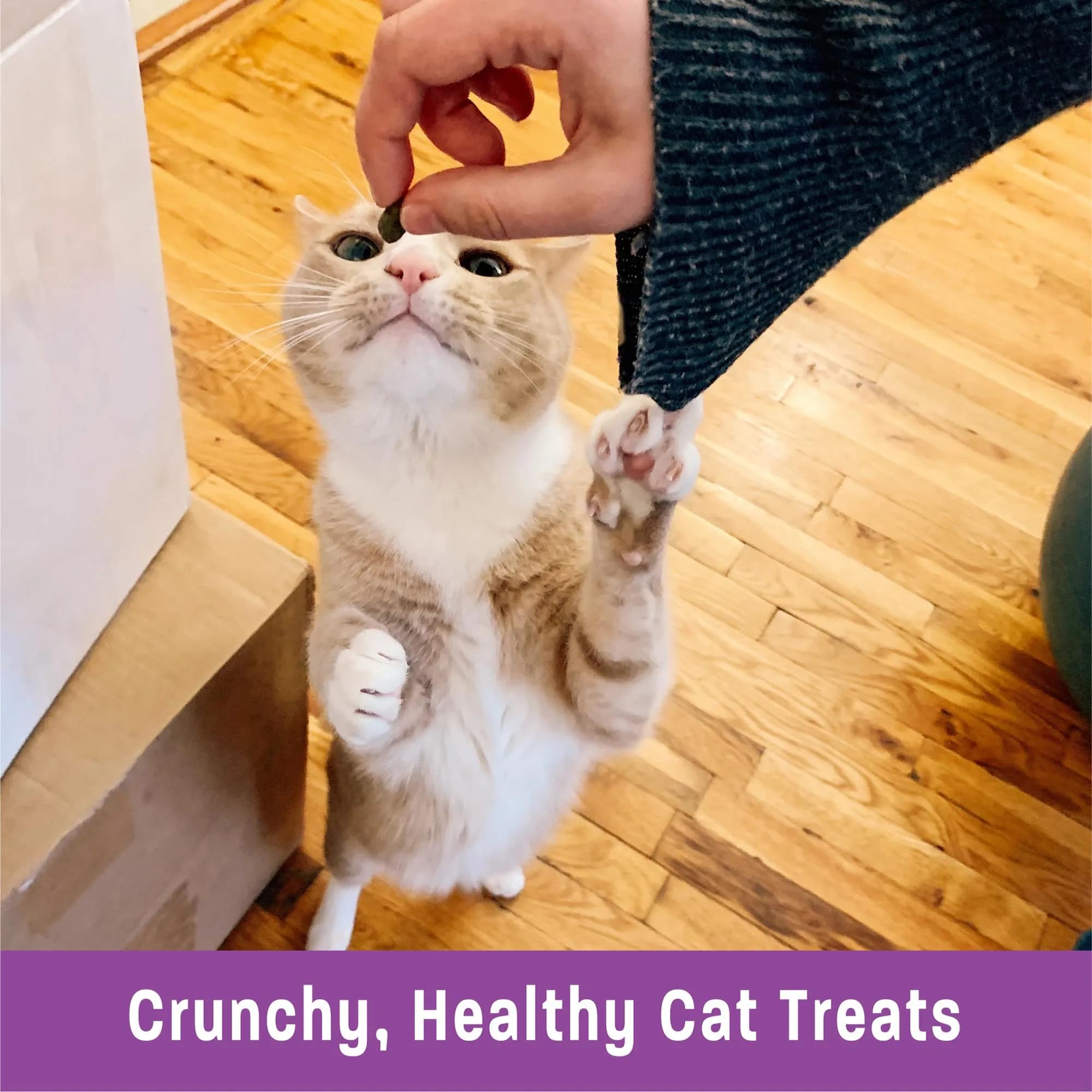 Wellness Kittles Crunchy Natural Grain Free Cat Treats, Salmon & Cranberries Recipe, 4 oz (Pack of 2) - view 5