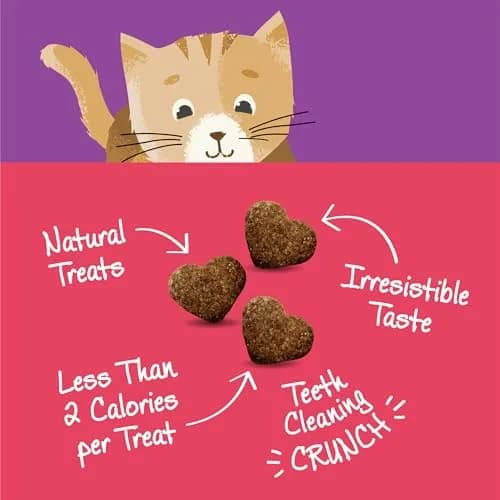 Wellness Kittles Crunchy Natural Grain Free Cat Treats, Salmon & Cranberries Recipe, 4 oz (Pack of 2) thumbnail 3