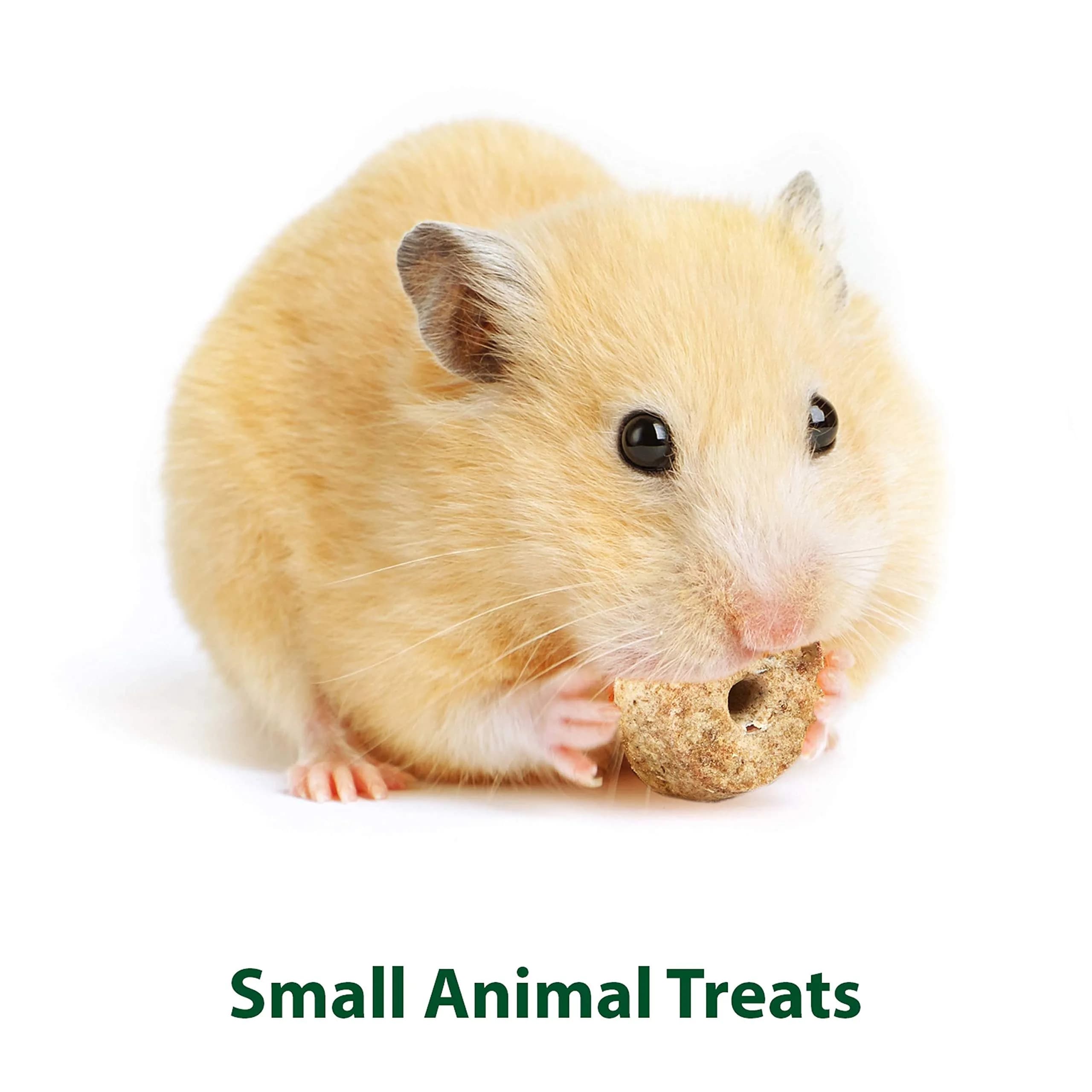 Kaytee Timothy Biscuits Baked Treat for Small Animals, Apple Flavor, 8 oz (Pack of 2) | High Fiber Dental Chews for Rabbits & Guinea Pigs - view 4